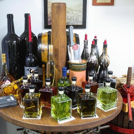 Hotel Healthy House Glamping Koper Zewnętrze zdjęcie