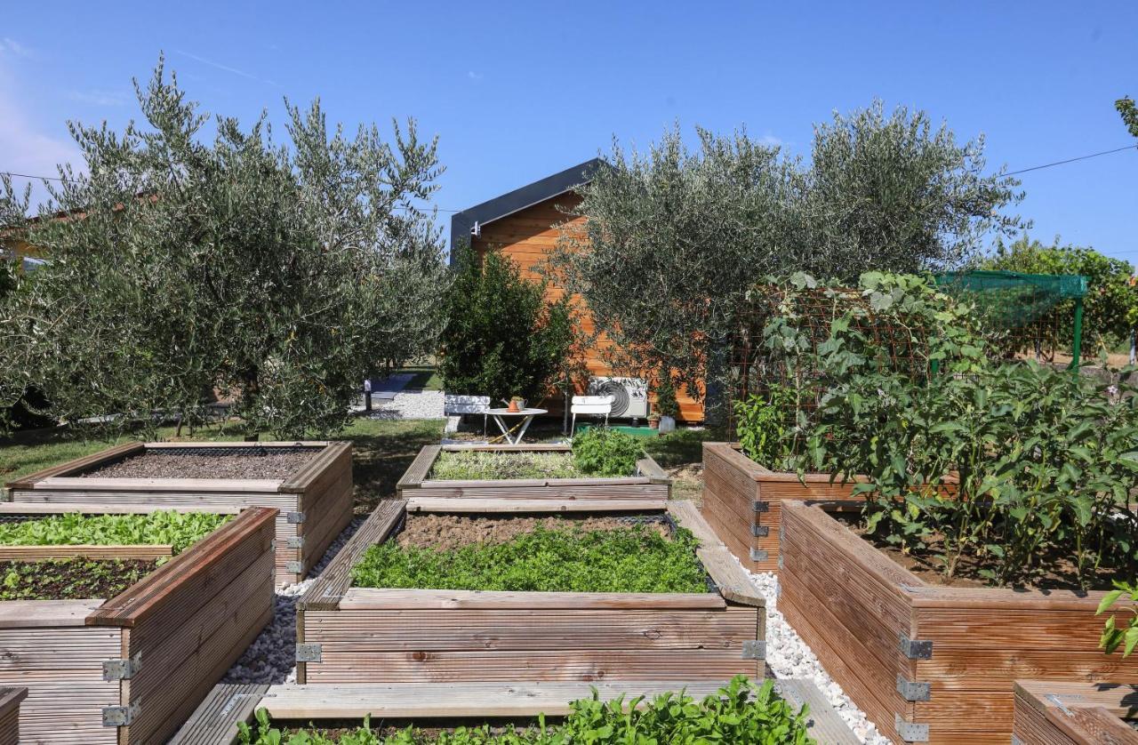 Hotel Healthy House Glamping Koper Zewnętrze zdjęcie