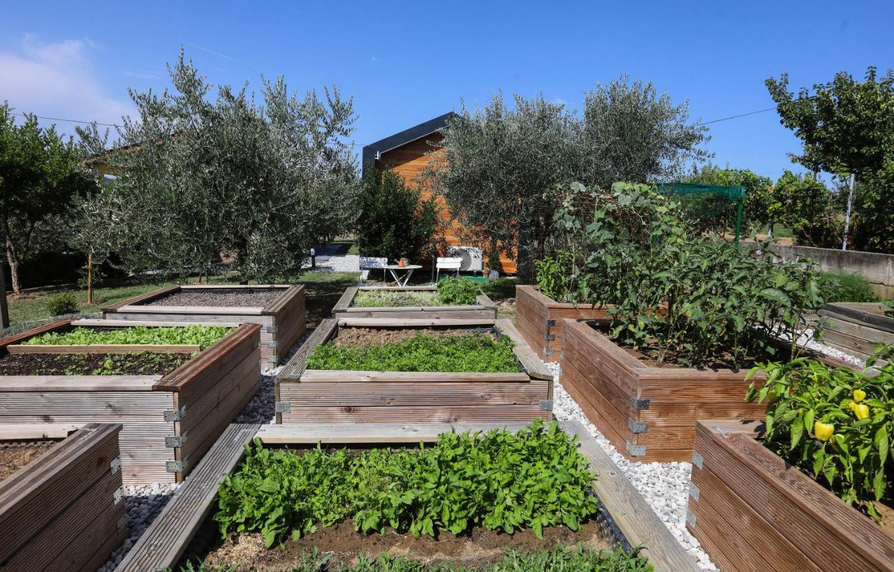 Hotel Healthy House Glamping Koper Zewnętrze zdjęcie