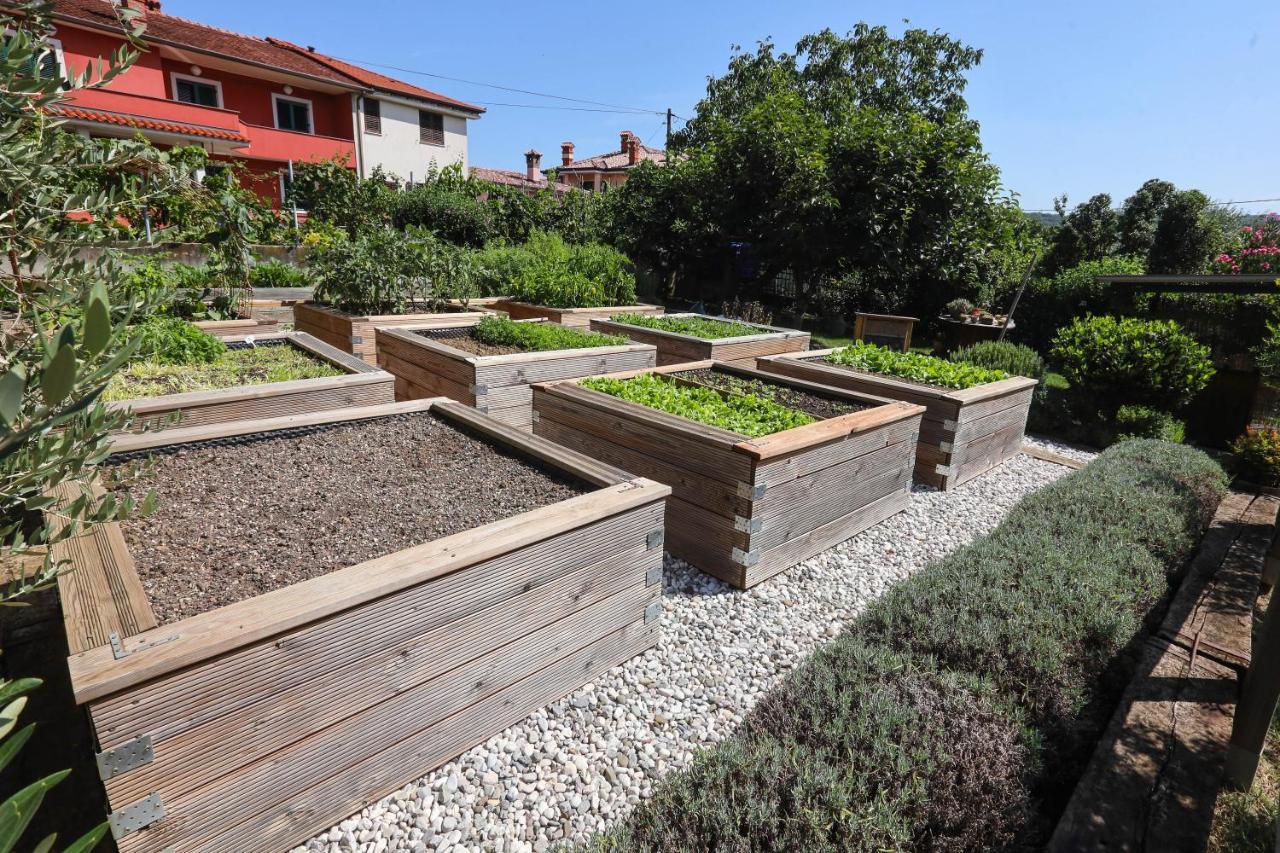 Hotel Healthy House Glamping Koper Zewnętrze zdjęcie